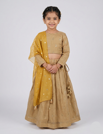 Golden Beige Chanderi Lehenga with Sequin Embroidered Dupatta