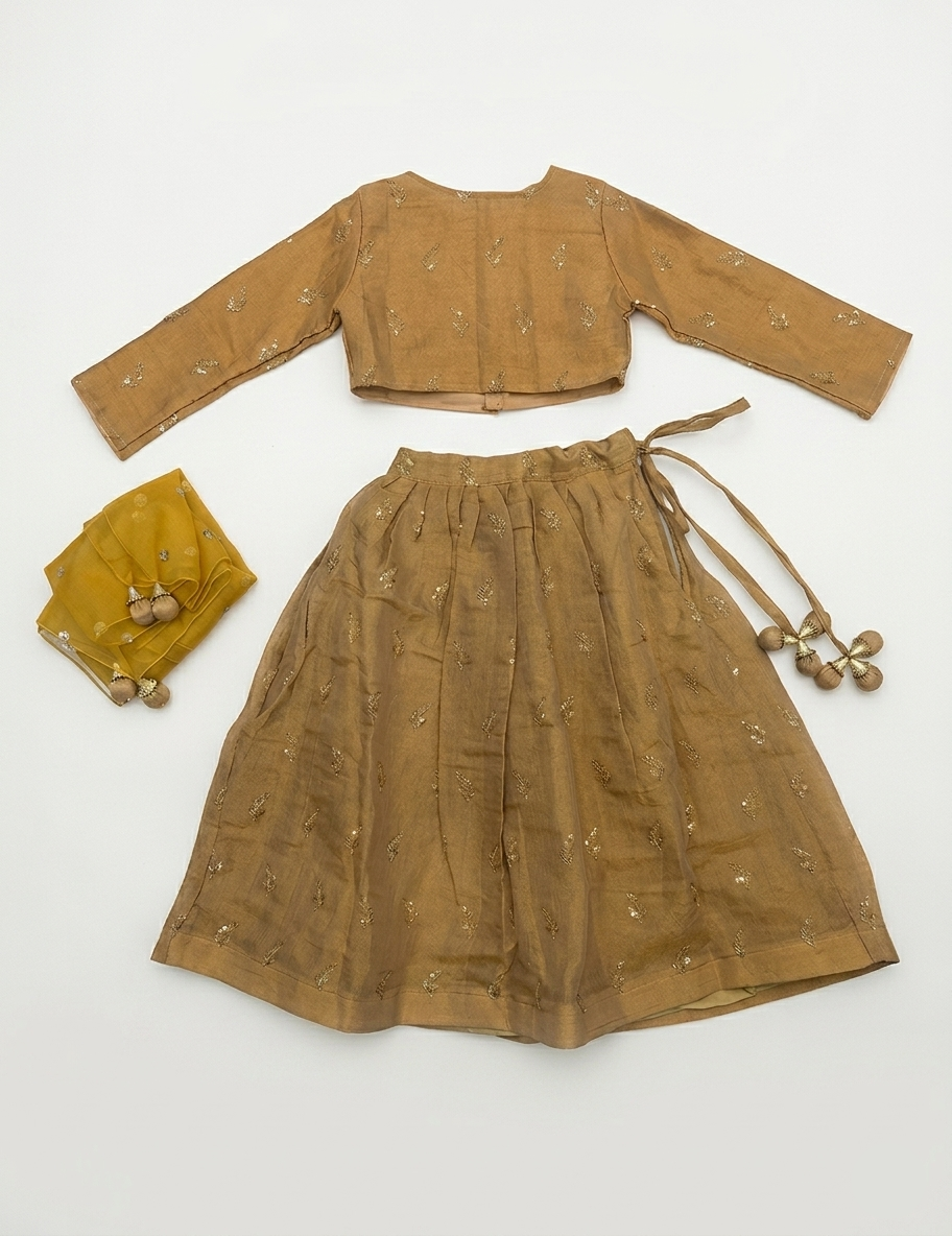 Golden Beige Chanderi Lehenga with Sequin Embroidered Dupatta