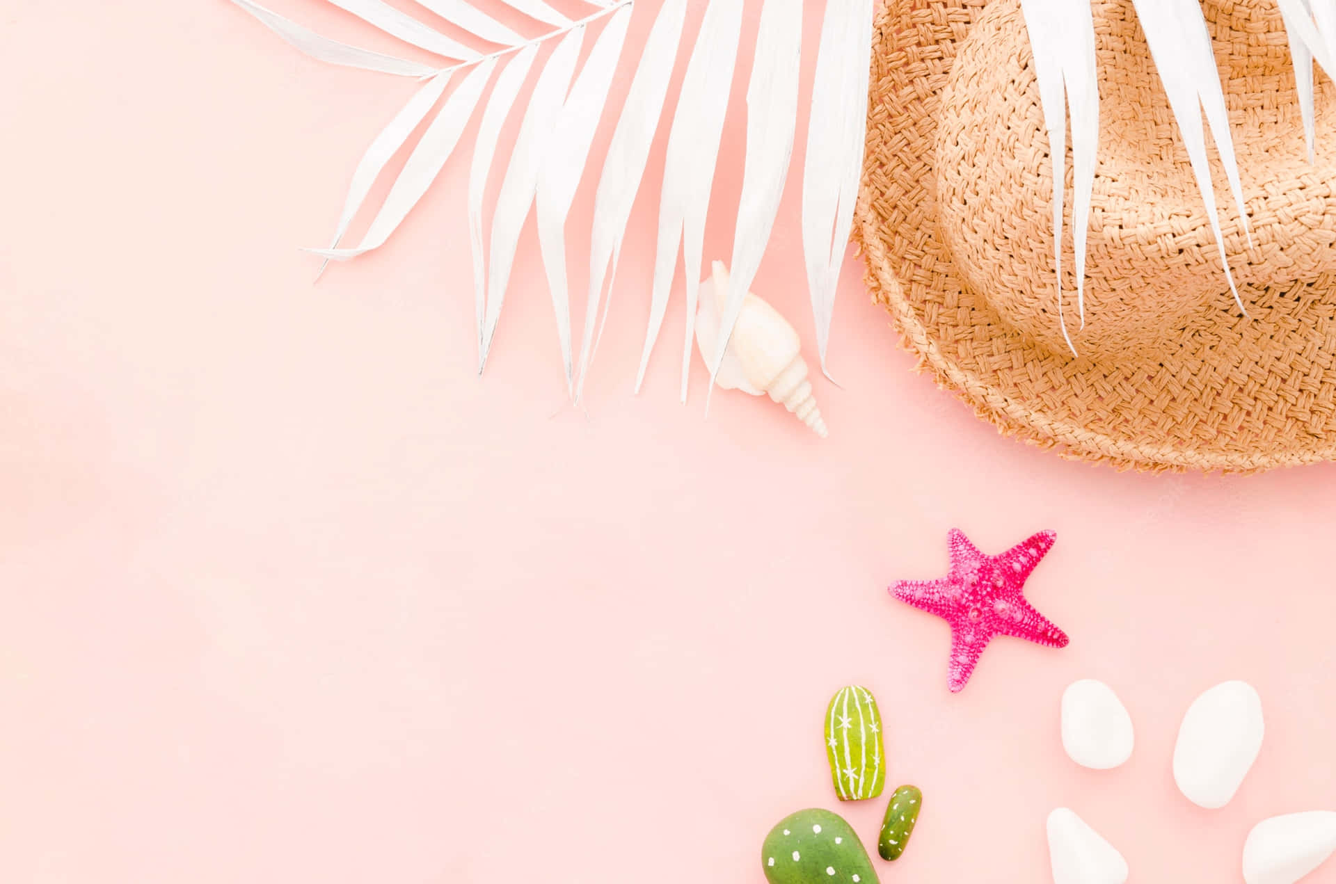 collection-banner-image